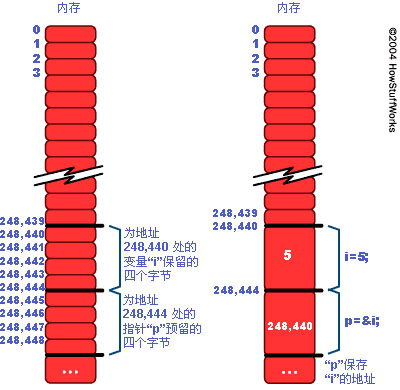 c语言入门