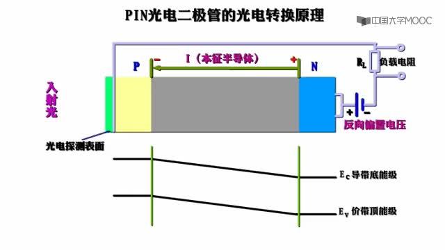 #硬声创作季  光纤通信工程：PIN光电二极管的工作原理动画