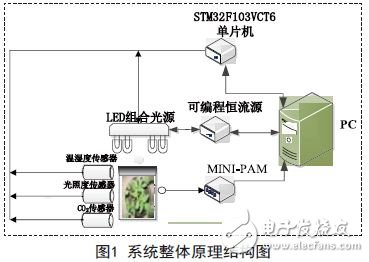 光合作用