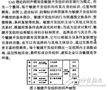 敏捷组织的复杂适应性及其行为模式研究杨小东