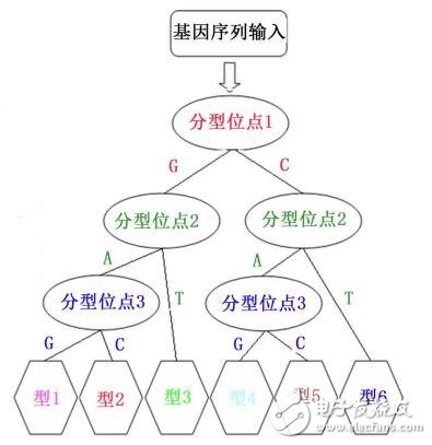 MATLAB编译生成AUTOLISP代码实现可变ID3基因分型决策树分类图的绘制