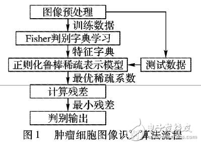 基于正则化鲁棒稀疏表示肿瘤细胞图像识别