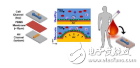 专家已研发出专供心脏病研究的MEMS芯片