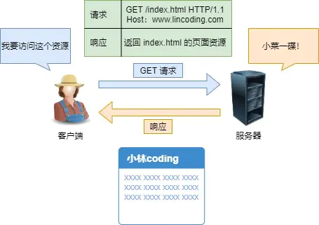 传输层